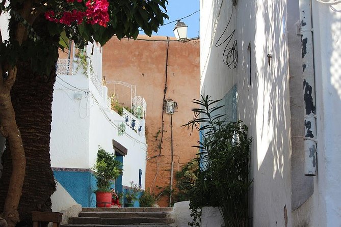 Tangier Day Trip from Seville with Lunch Included & Local Guide - What $262.85 buys you
