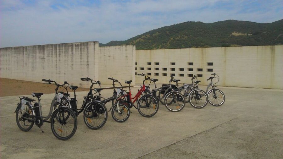 Tour bicicleta a Medina Azahara - Who will enjoy this ride most