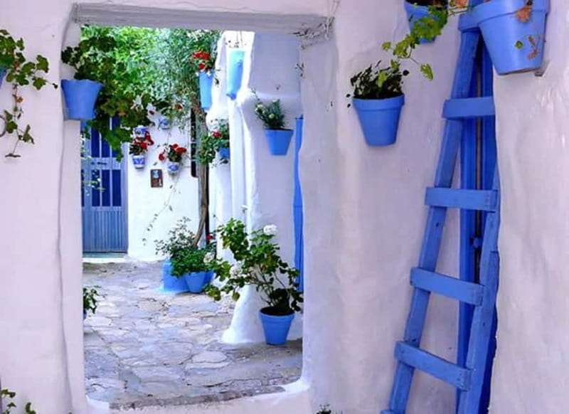 Vejer and Conil: Tour from Jerez, El Puerto, Cádiz, Chiclana - Should you book the Vejer and Conil tour?