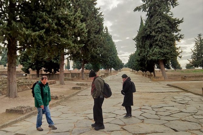 Visit to Italica Roman Ruins Tour tickets included - A guide can turn ruins into a town