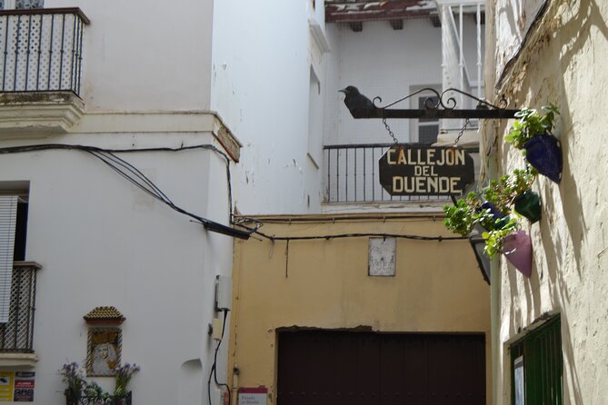 Walking Tour through Cádiz: Stories from the hand of a local guide - Parque Genovés offers a slower pause
