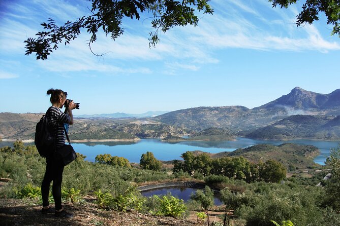 White Villages and Ronda Day Tour from Seville - Leaving Seville for the white villages