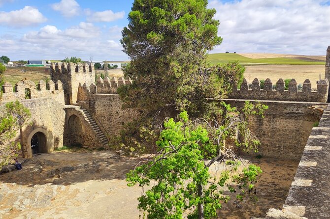 White Villages and Ronda Day Tour from Seville - What the guide and group format mean