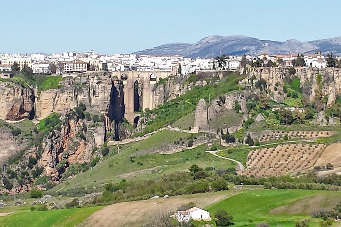 White Villages and Ronda Guided Day Tour from Seville - Guides, language and the group experience